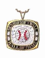Picture of NSSHOF Pendant w/Ball & Cubic Zirconias