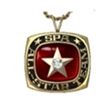 Picture of All Star Pendant w/Star Crest & Single Zirconia